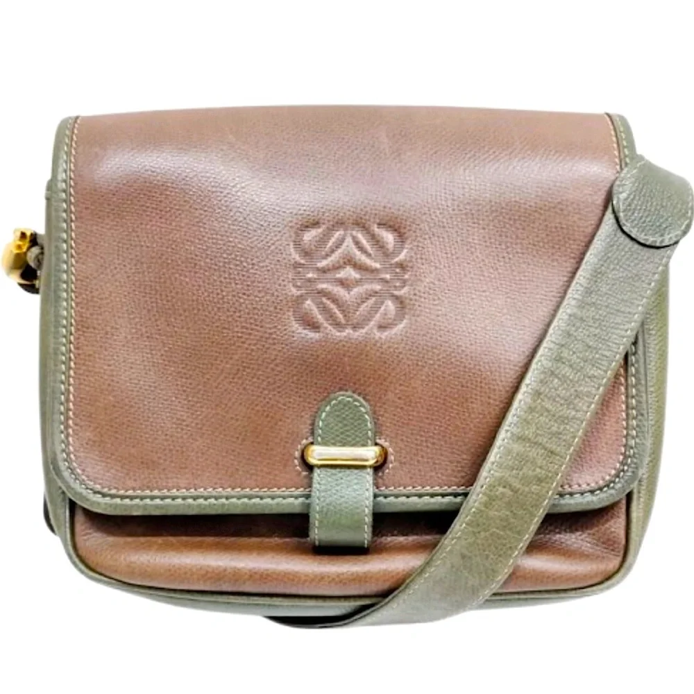 LOEWE Brown Green Leather Single Flap Shoulder Bag UNISEX